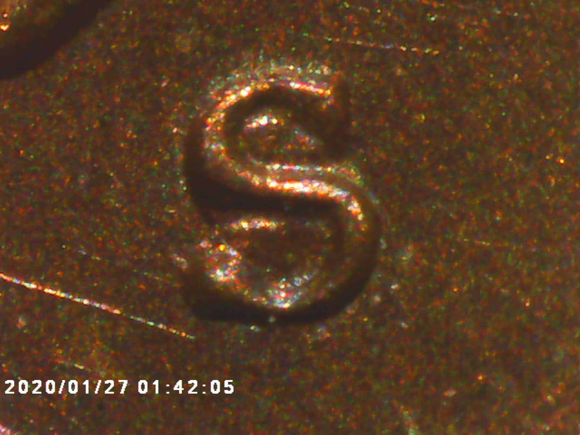 What-Should-I-Do-With-This-1968-S-Cent