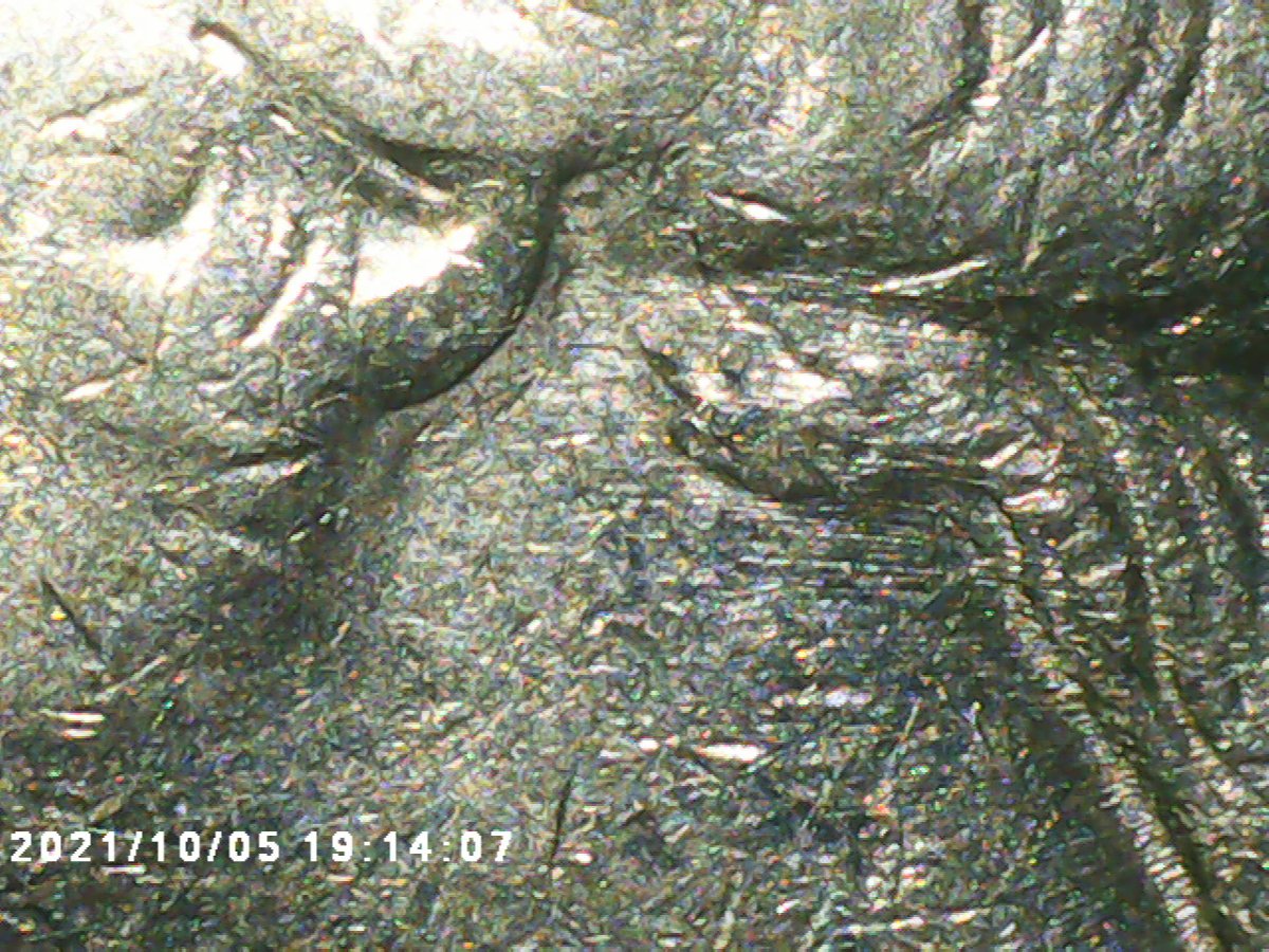 OK-1991-D-Quarter-No-DDO-Or-Reverse-That-I-Have-Found