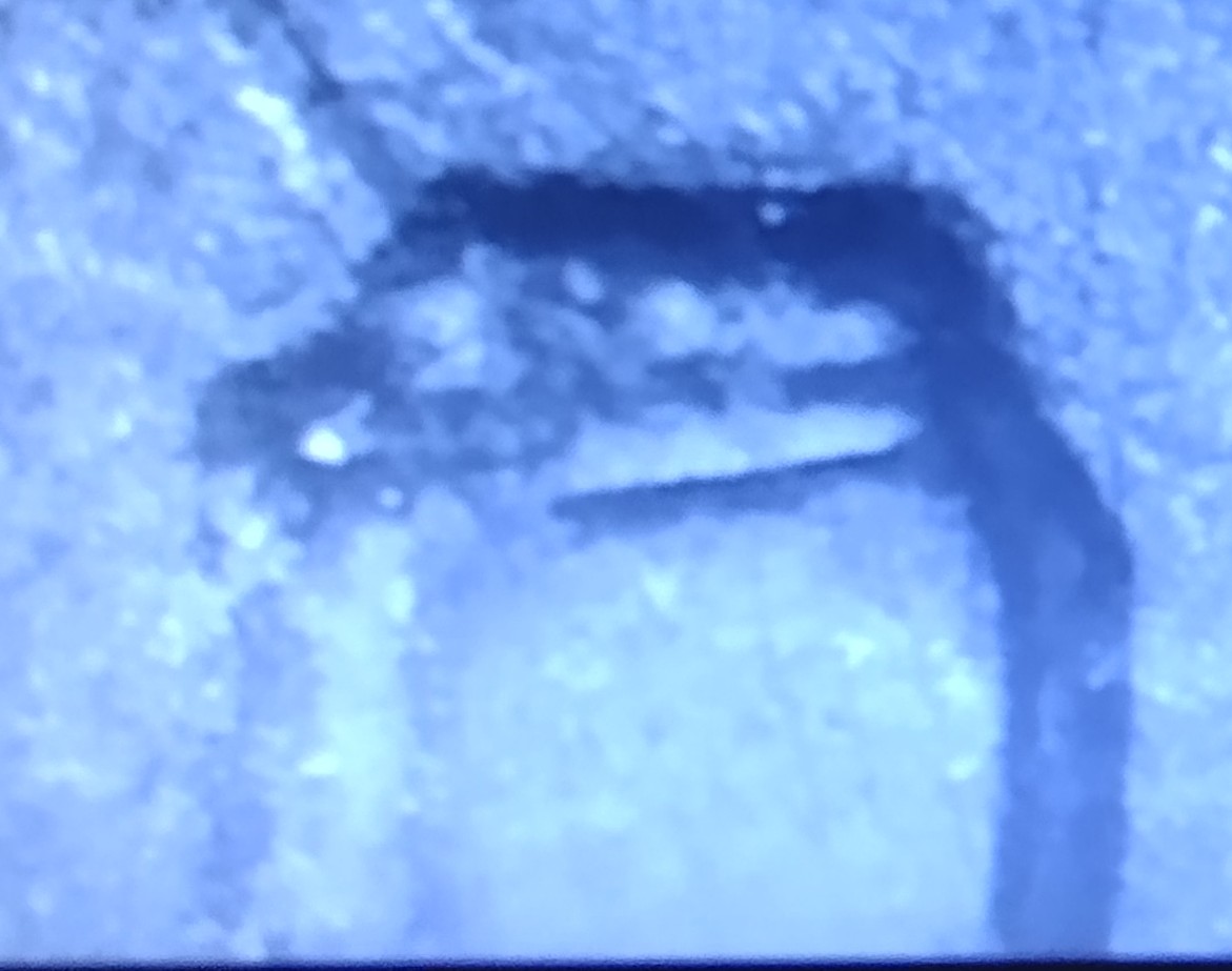 1972-D-Penny-Need-Help-Column-To-The-Left-Of-Lincoln