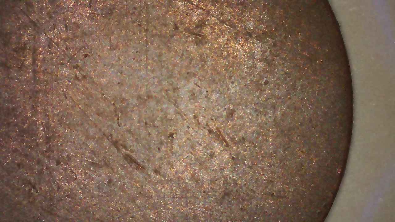 1865-Indian-Head-Die-Clip-&-Blank-Reverse?