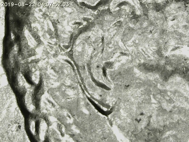 Opinions-On-This-Lincoln-Cent-Please!-Does-His-Ear-Look-Doubled?