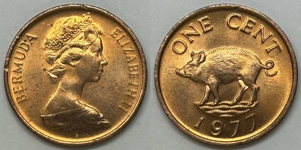 Post-Your-Coins-Representing-The-Animal-Kingdom.