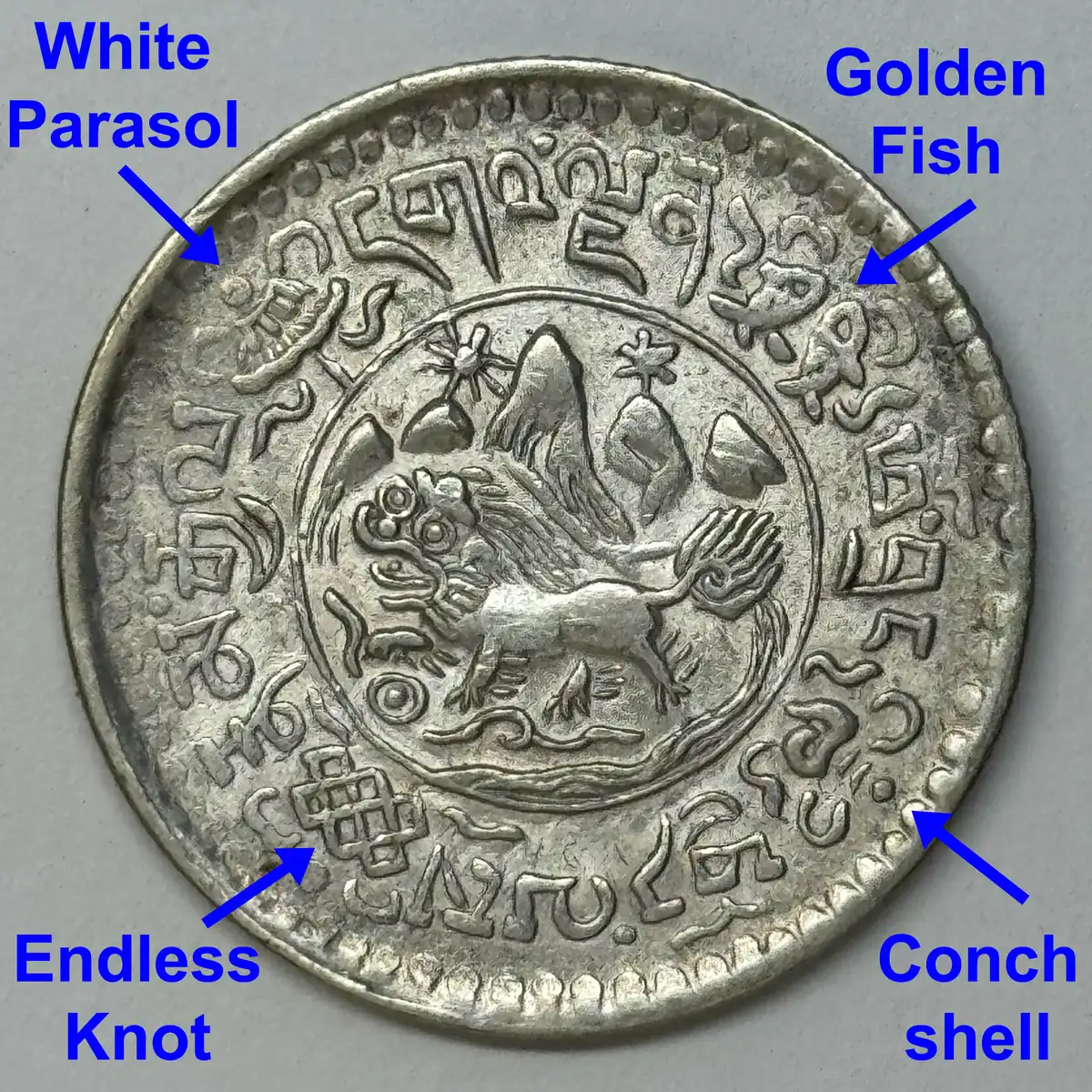 Post-Your-Coin-/-Medal-/-Bank-Note-With-A-Shell