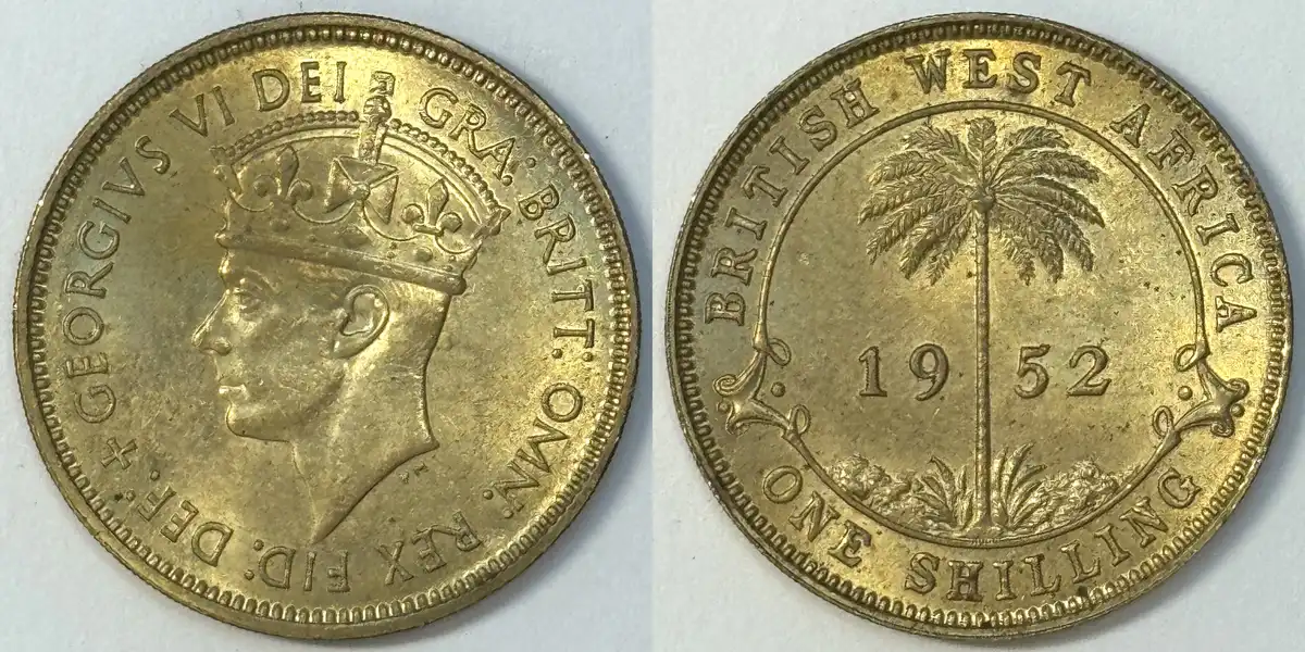 Post-Your-Coins-And-Medals-With-Trees