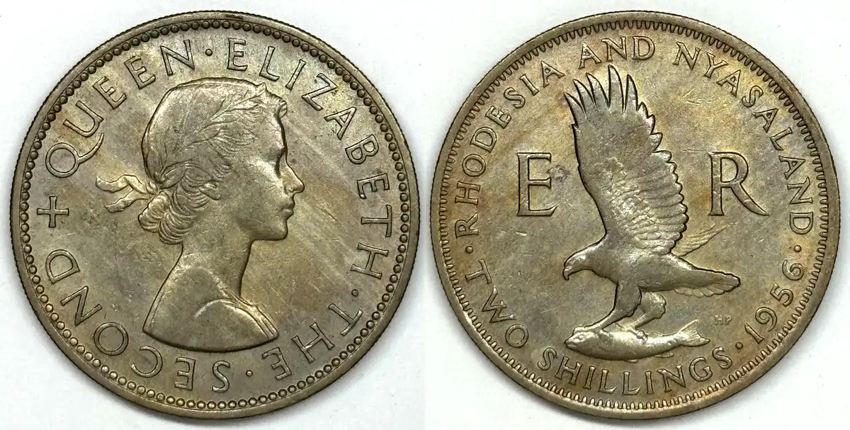 Post-Your-Bird-Coins