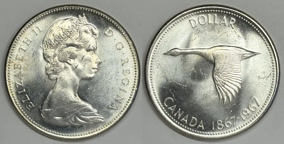 Post-Your-Bird-Coins