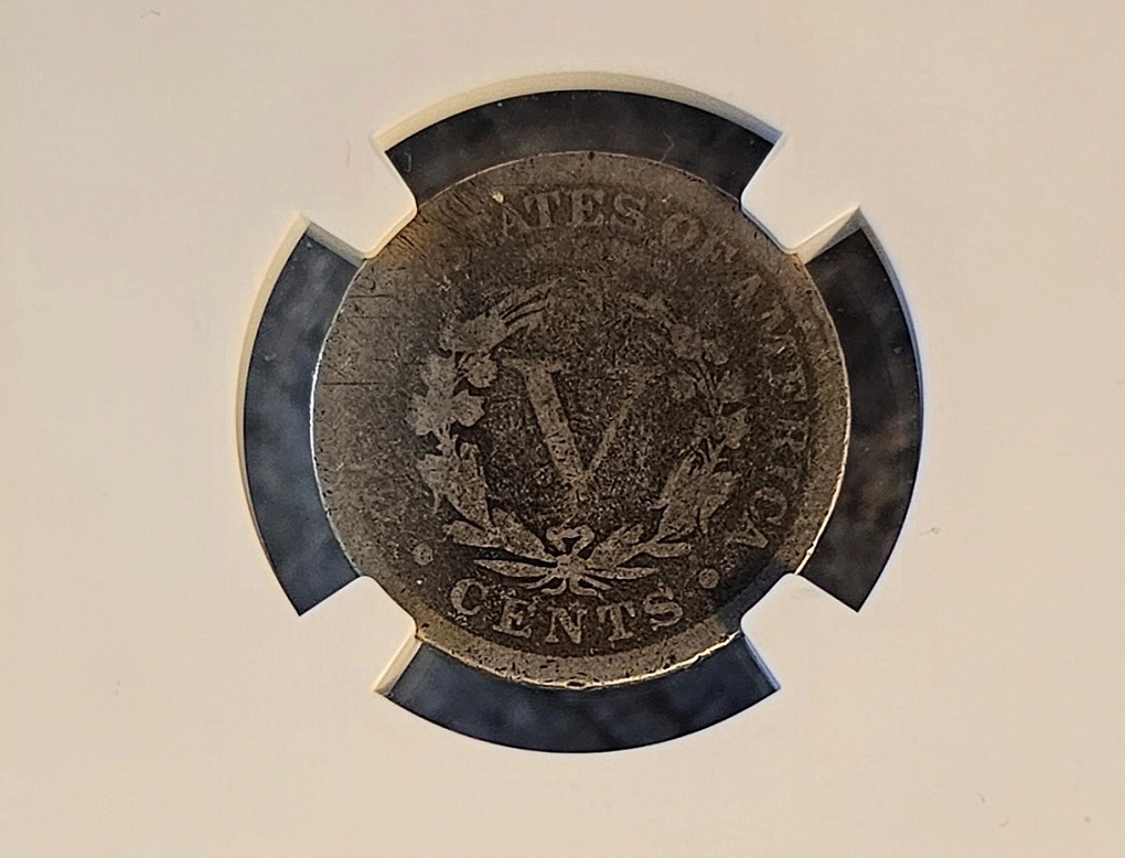 The-Start-Of-My-Liberty-
