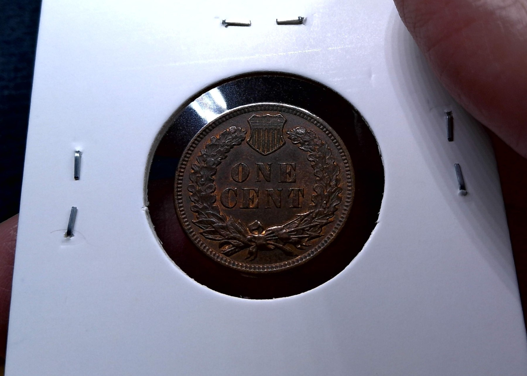 For-Grading---1908-Indian-Head-Cent