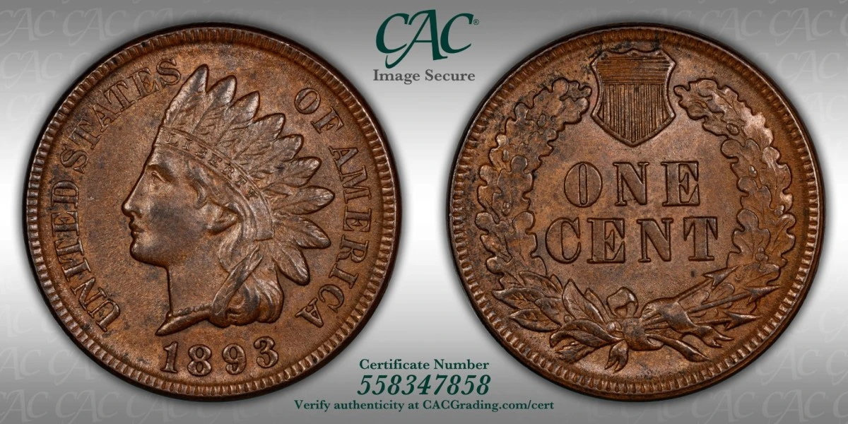 For-Grading---1893-Indian-Head-Cent