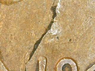 1940-S-Lincoln-Cent-Error-OBV-&-Rev