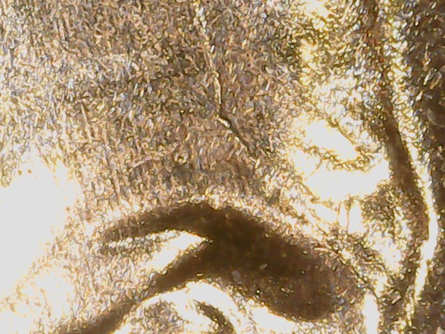 Lincoln-Cent-2009-Fy-WDDR-025-/-FS-01-2009-805