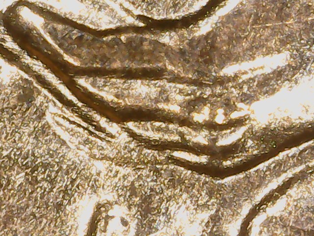Lincoln-Cent-2009-Fy-WDDR-025-/-FS-01-2009-805