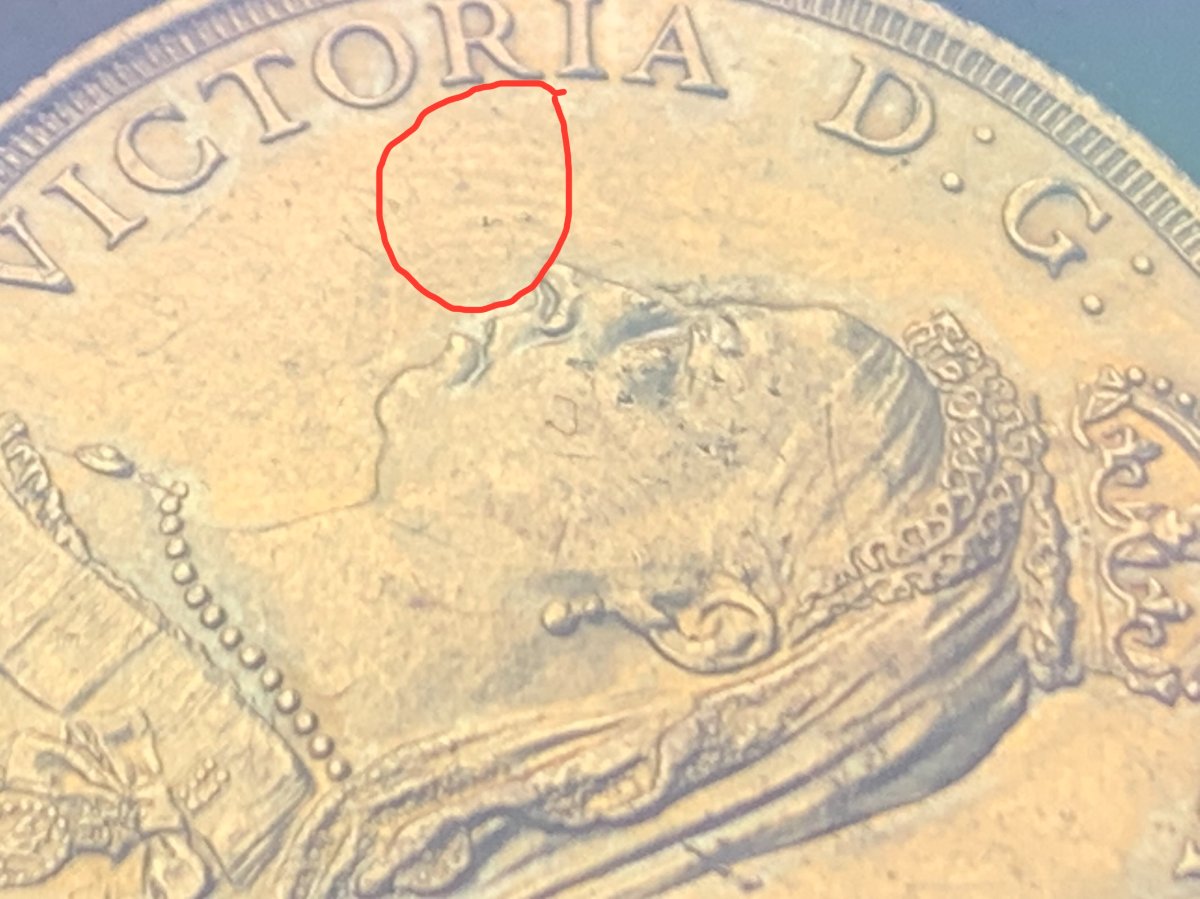 Fingerprints-On-Gold-£2?