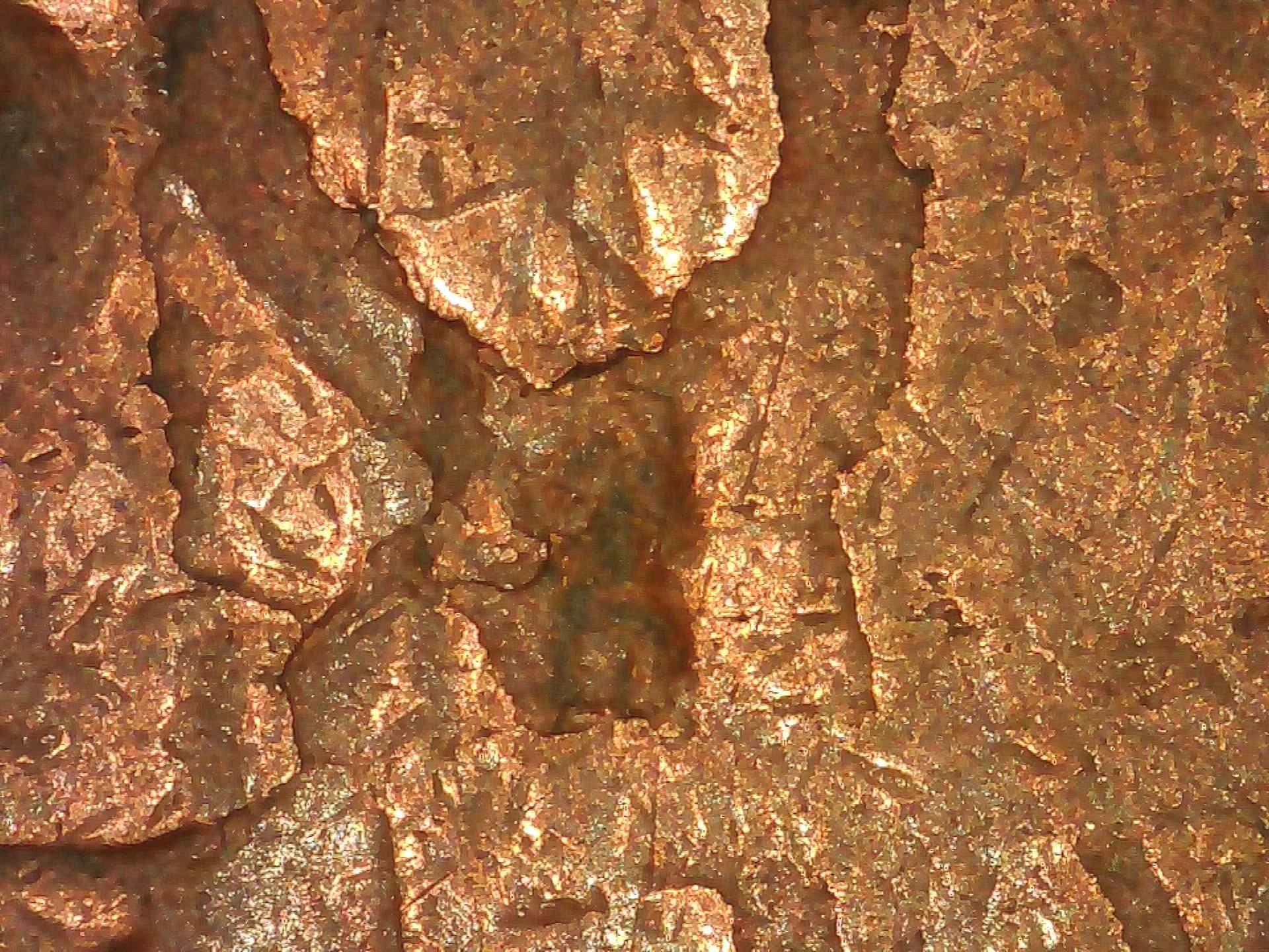 1919-Lincoln-One-Cent---Planchet-Error-Excessive-Lamination?