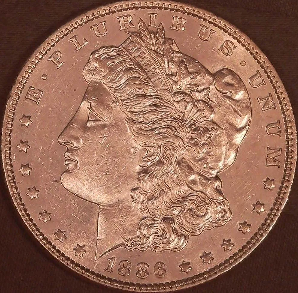 1886-Morgan-WDDO-001-WRPD-001-VAM-#4