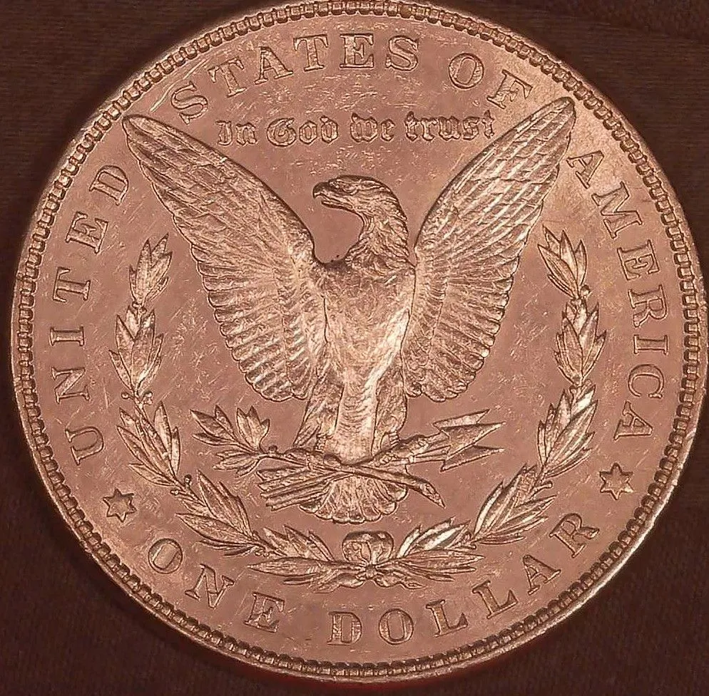 1886-Morgan-WDDO-001-WRPD-001-VAM-#4