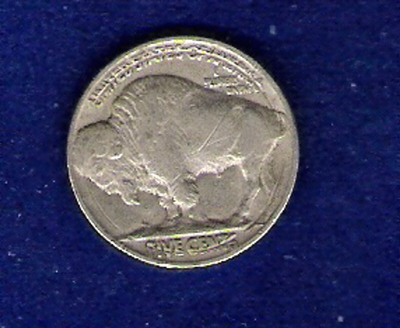 Buffalo-Nickel-Reverse-Error?