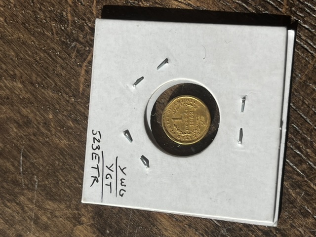 Should-I-Get-This-$1-Gold-Coin-Graded-And-How-Much-Is-It-Worth