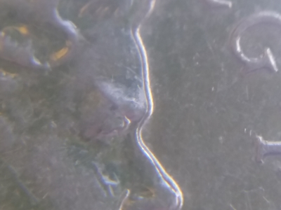 This-2014-10-Pence-Must-Be-An-Error-Coin.