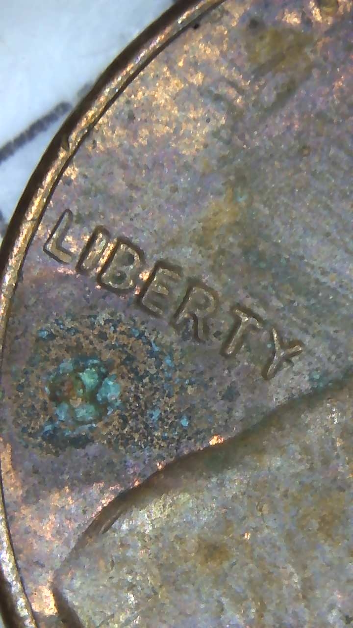 1982-Copper-Penny-Doubled-Die-?