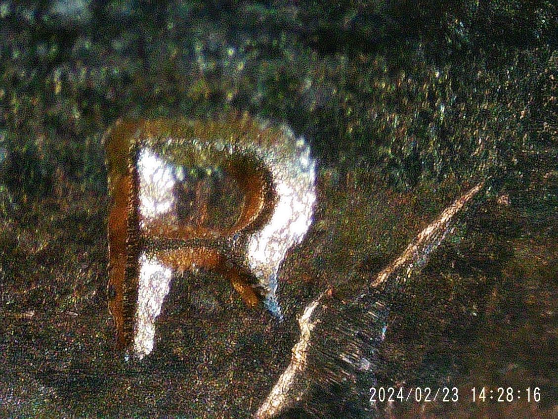 2008-D-$1-Coin-Martin-Van-Buren-Partial-Letter-R