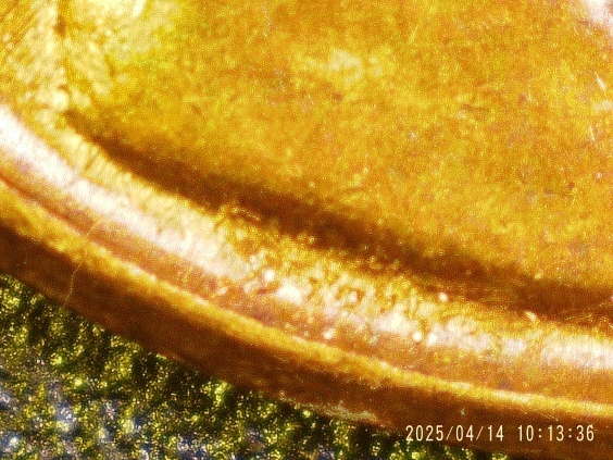 1966-Penny-Is-This-DDD-Or-Doubling?-Missing-VDB-Or-Detoriation?