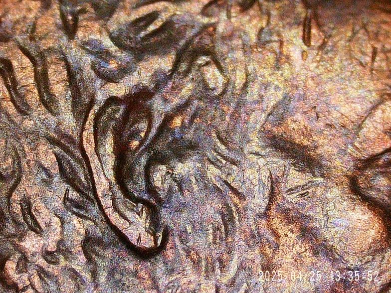 2001-Lincoln-Cent-Error?-Not-Sure-What-Is-Going-On-With-This-One!