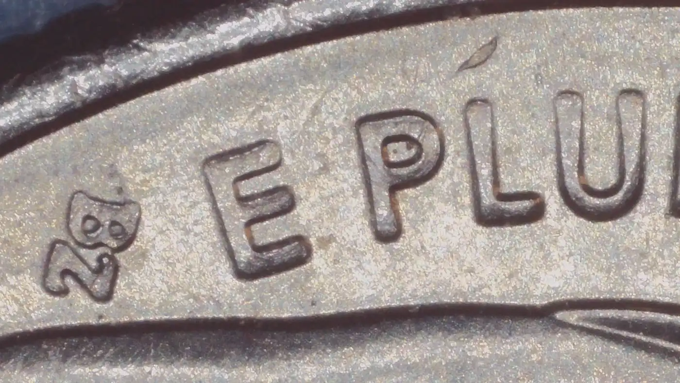 2024--P-Quarter--Ptm-WDDR-002?