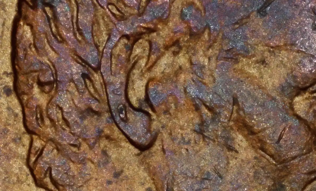 1999-D-Penny-Lincoln-Has-Stud-Earrings?-Rim-Issue?