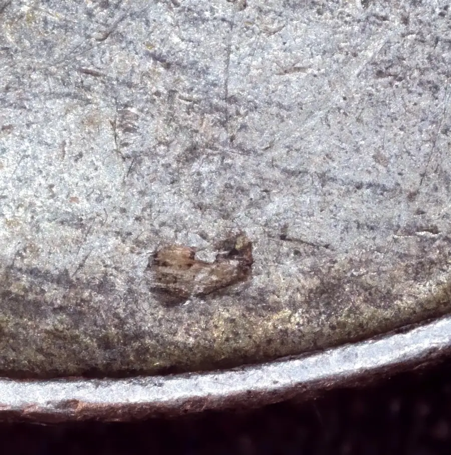 1964-D-Silver-Quarter-RPM-Or-DDR?