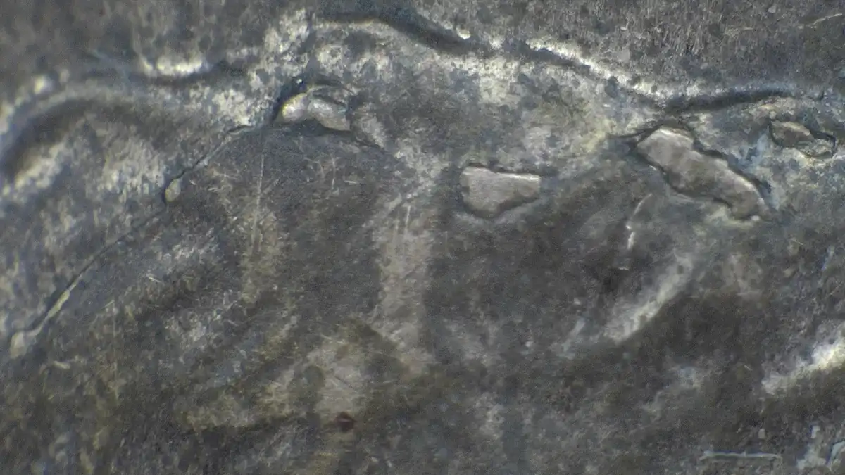 2015-Penny-Die-Chip-On-Obverse-And--Reverse