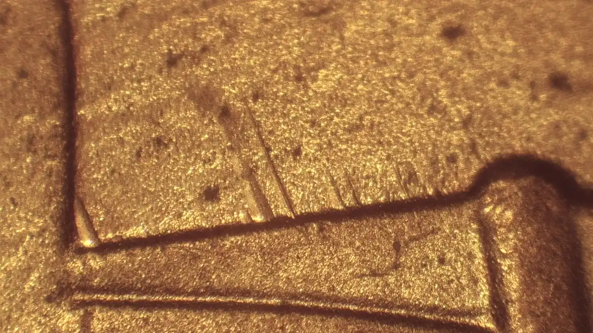 2016-D-Penny-Shield-Spikes?