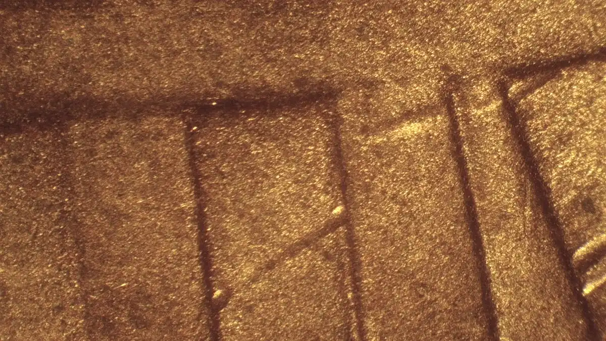 2016-D-Penny-Shield-Spikes?