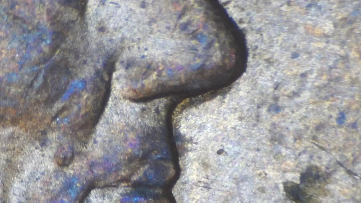 1996-D-Penny-Help-With-Nose-And-Eyes?-Also-On-Trust-St?