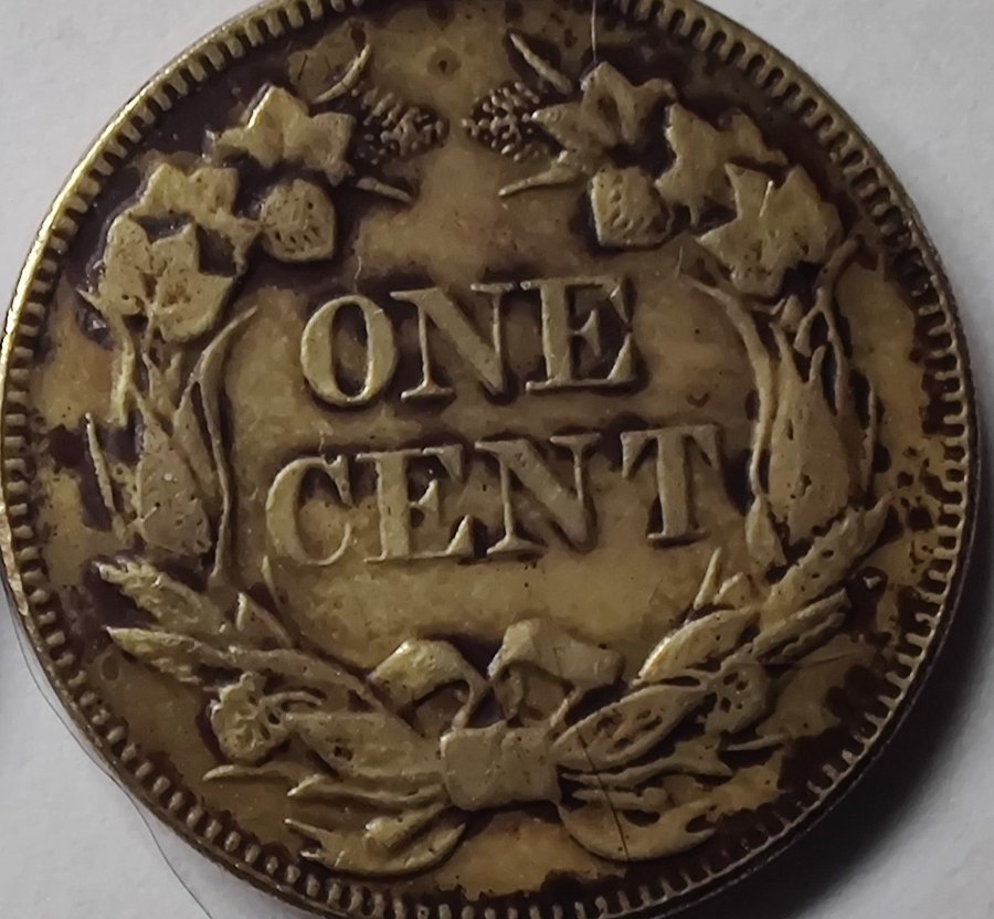 HI-Is-This-Coin-Real-Or-Fake---1856-Flying-Eagle