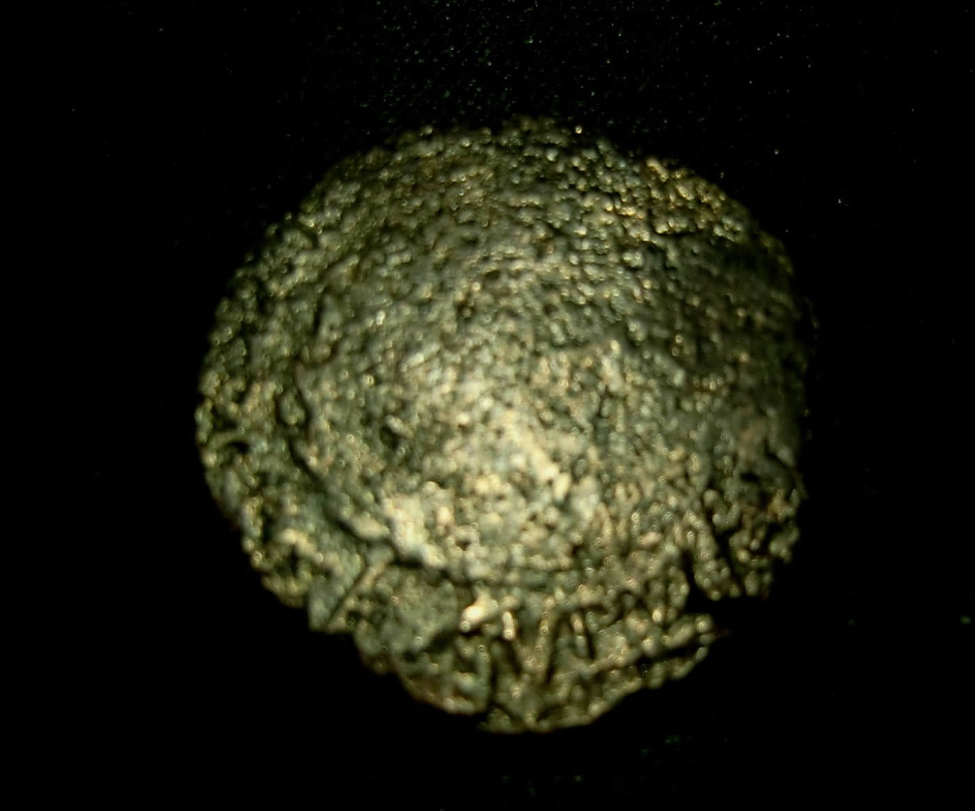 Csesar-Slug-I-Just-Cleaned
