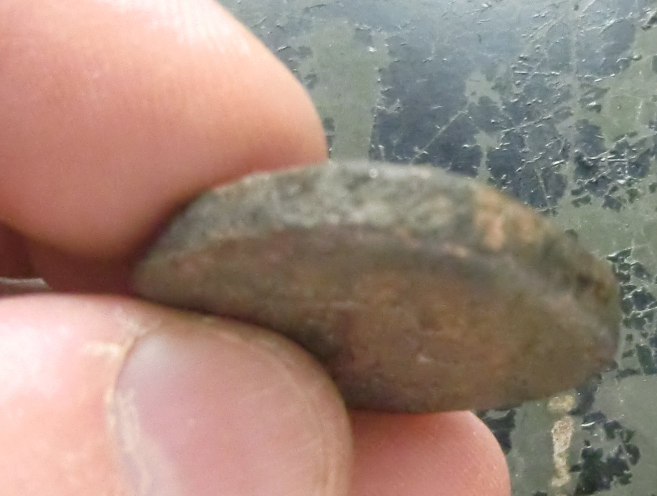Roman-Cull--With-Some-Markings-Any-Chance-For-An-ID-?