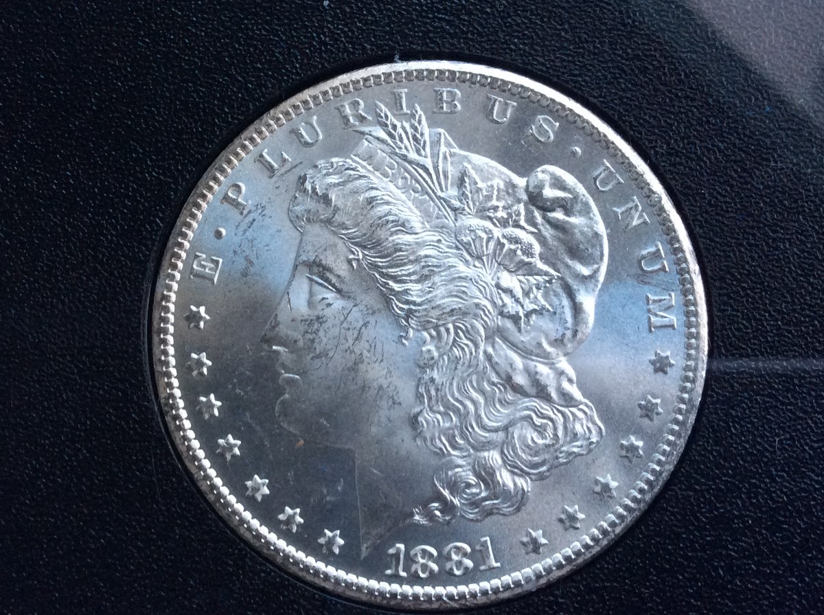 81-CC-GSA-&-81-O-Morgan-For-Grading