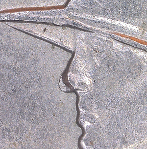 2016-Kentucky-State-Quarter,-Guy-Without-A-Nose