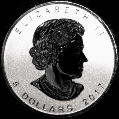Post-Your-Coins-Representing-The-Animal-Kingdom.