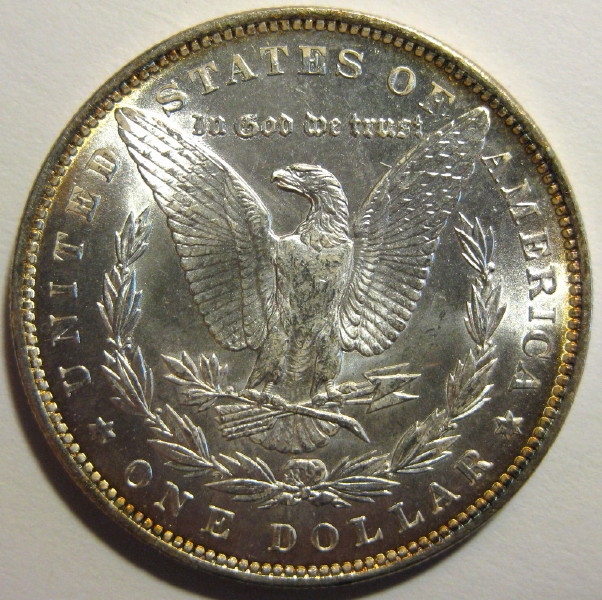 1888-Morgan-For-Grading
