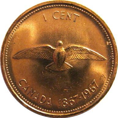 Post-Your-Bird-Coins