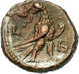 Post-Your-Bird-Coins