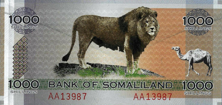 Post-Your-Notes-With-A-Lion