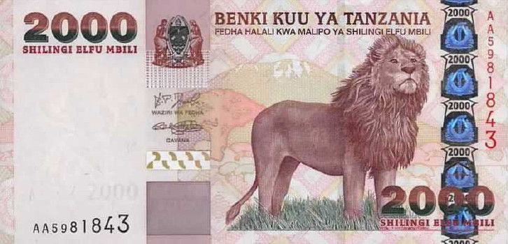 Post-Your-Notes-With-A-Lion
