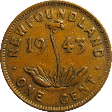 Post-Your-Coin-Or-Medal-With-Flora