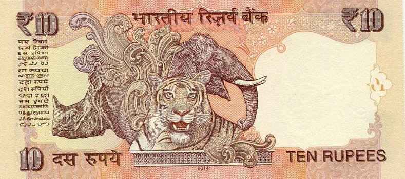 Post-Your-Notes-Showing-An-Elephant