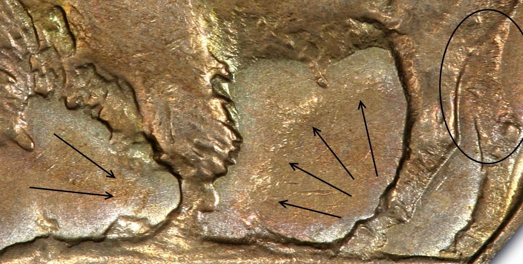 3-Legged-1937-D-Buffalo-Nickel---Grading