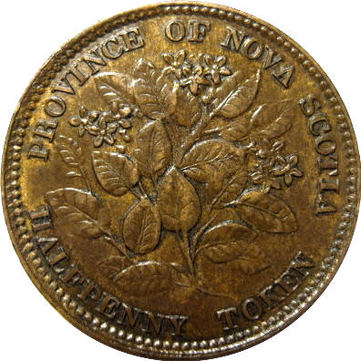 Nova-Scotia-1/2-Penny-1856-For-Grading