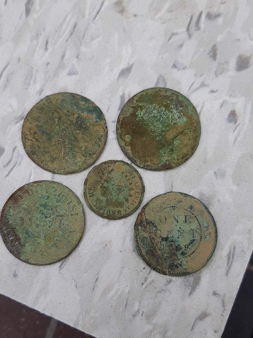 This-Season's-Crop-Of-Coins